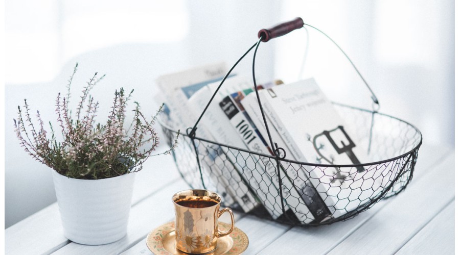 Urna pretium elit mauris cursus Curabitur at elit Vestibulum