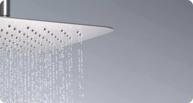 Nuovi <br>arrivi 2025